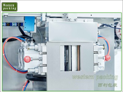vffs packaging equipment vffs packaging equipment